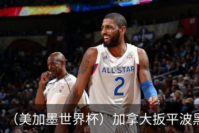 （美加墨世界杯）加拿大扳平波黑 获队史世界杯首分